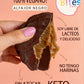 PACK ALFAJOR NEGRO x6